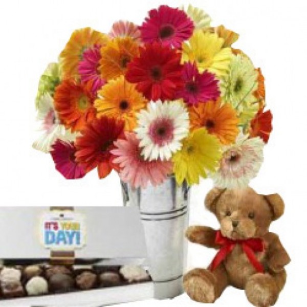 20 Assorted Gerberas with 10 Inches Teddy and Cadbury Rum Raising Chocolate